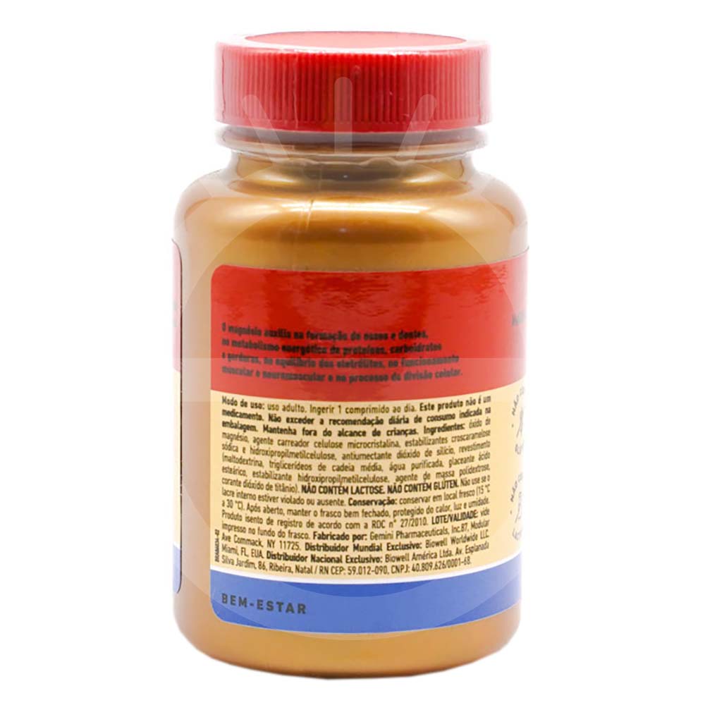 Magnésio FDC Suplemento Alimentar 60 Caps