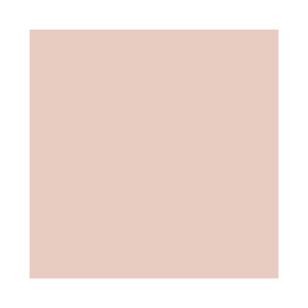 Face Powder Fixer Pó Fixador Translúcido Rosado 20g