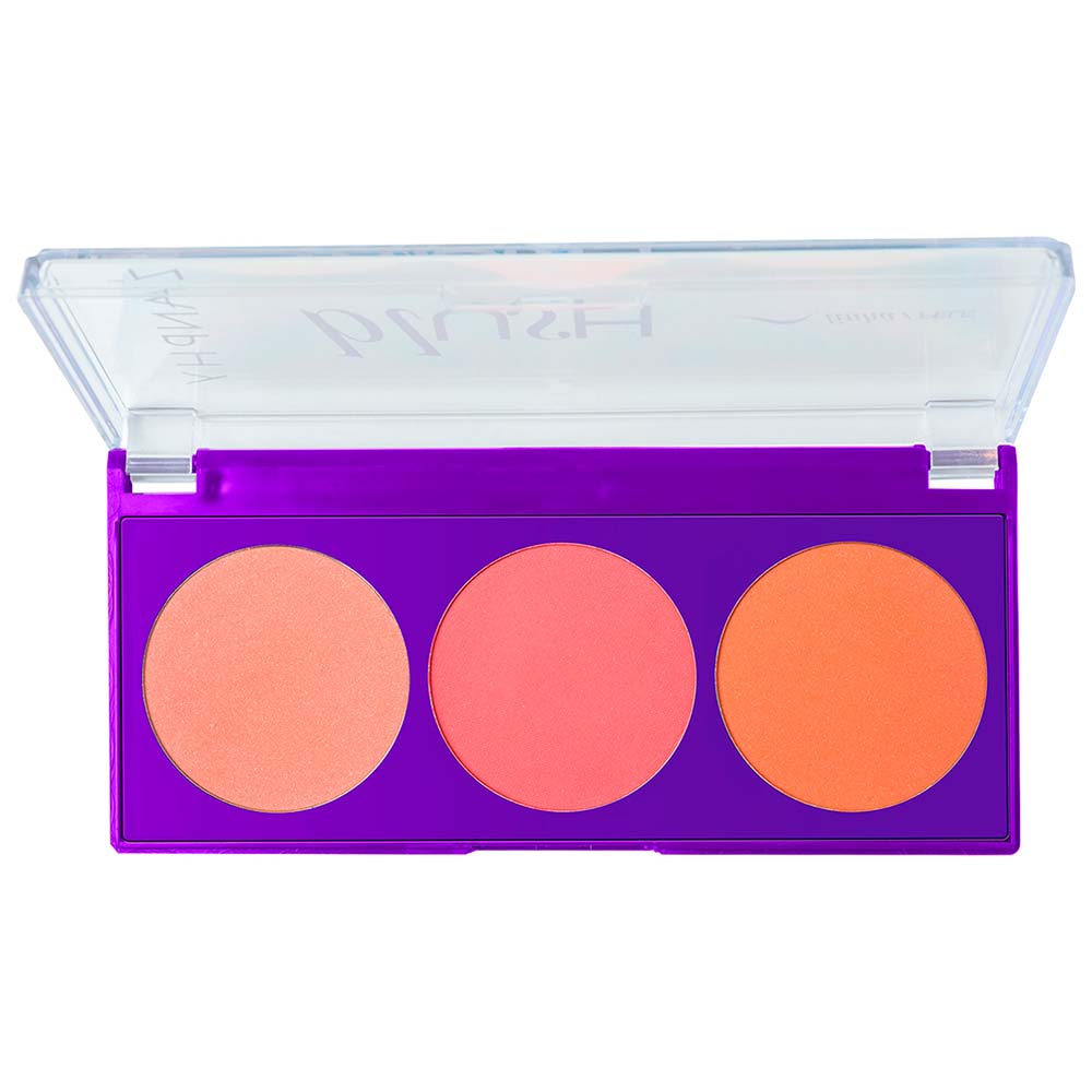 Paleta de Blush Zanphy 01 1Un