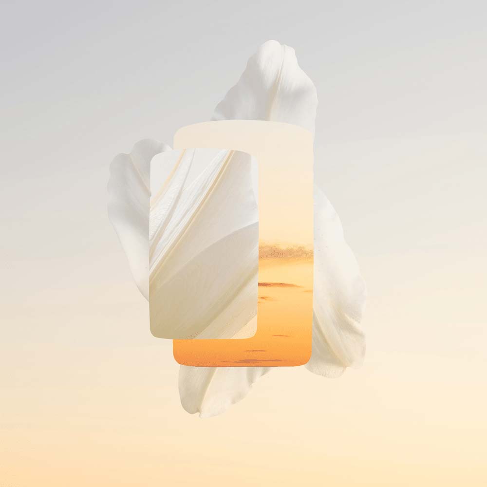 Baiser Volé Cartier  Perfume Feminino  Parfum 50ml