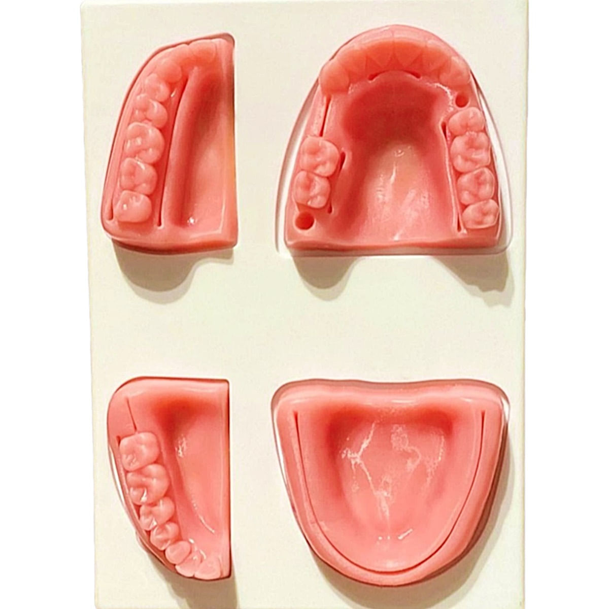 Simulador De Sutura Dental Supermedy