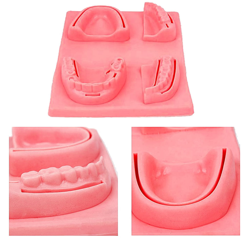 Kit Simulador 3d Dental Para Treinamento De Sutura Ortho Pauher