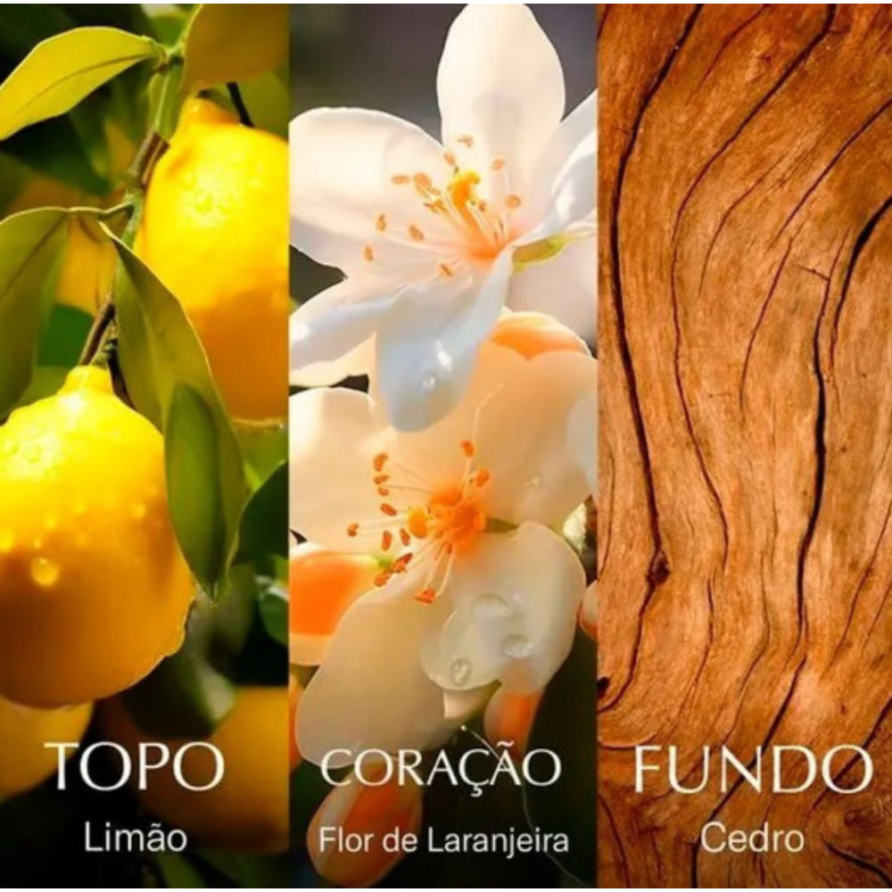 Chanson D'Eau Perfume Eau de Toilette Lemon 100ml