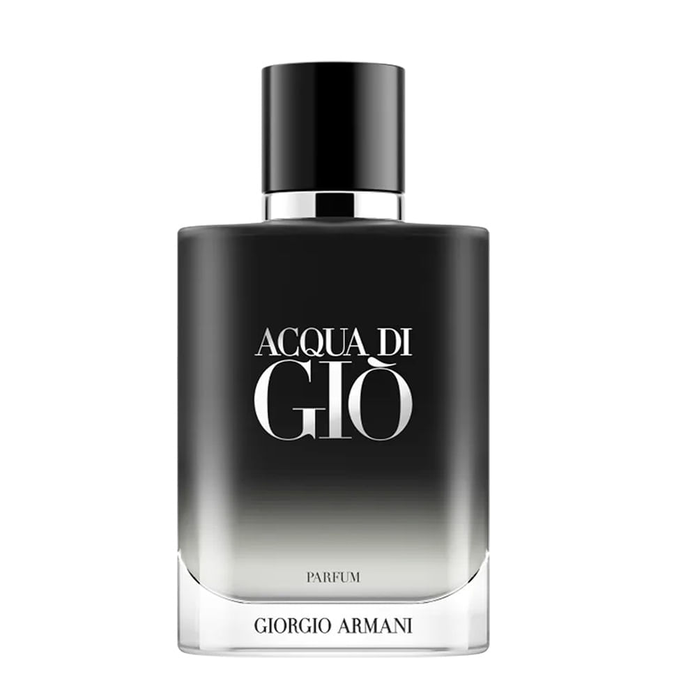 Perfume Masculino Giorgio Armani Acqua Di Giò 100ml