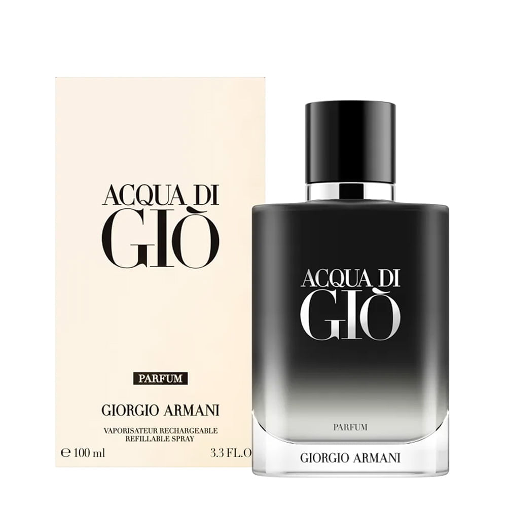 Perfume Masculino Giorgio Armani Acqua Di Giò 100ml
