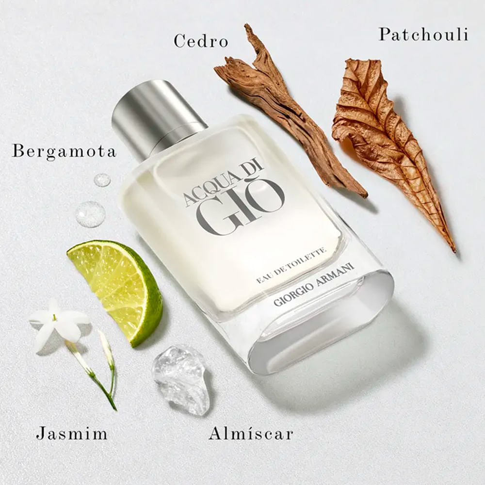 Perfume Masculino Giorgio Armani Acqua di Giò 100ml