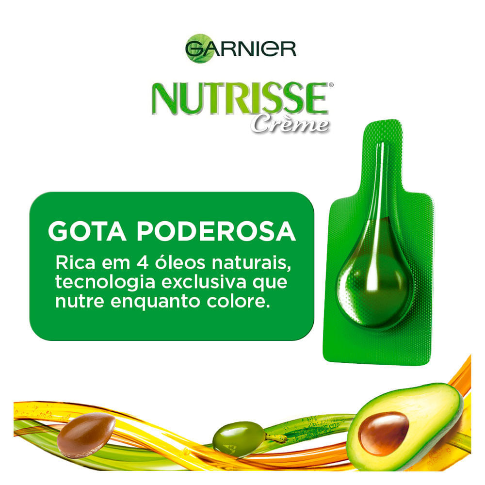 Coloração Nutrisse Garnier 30 Grafite