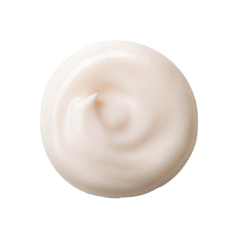 Hidratante Facial Shiseido - Future Solution LX Total Protective Cream E 50ml