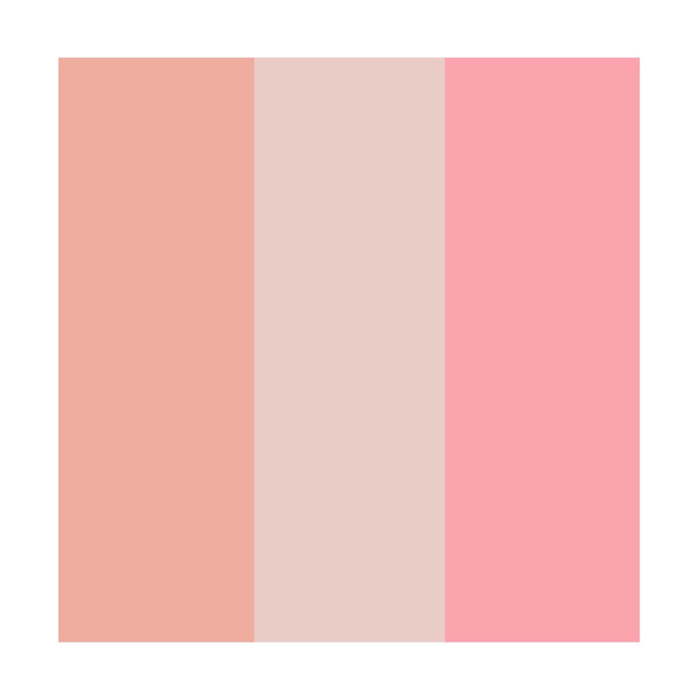Paleta de Contorno & Iluminador & Blush Dailus Pele de Milhões 1