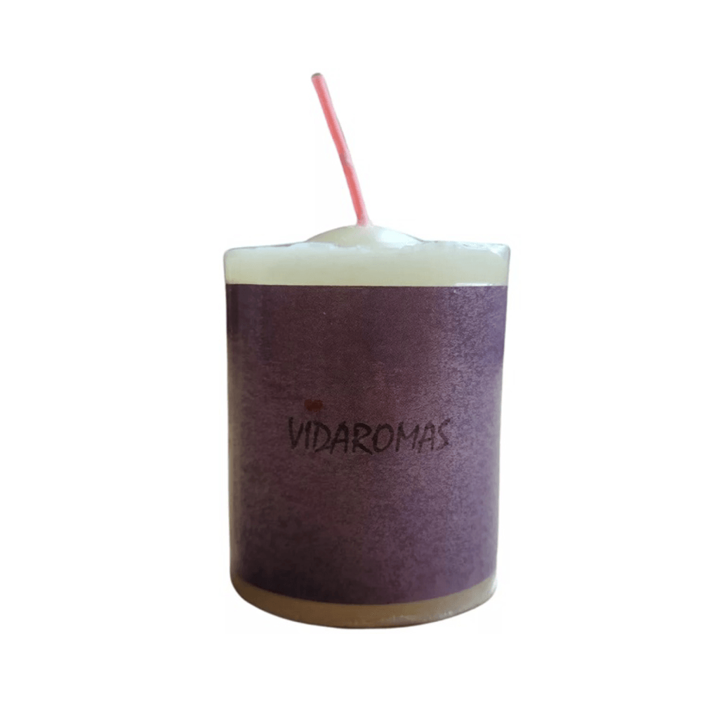 Vela Aromática Vidaromas Ameixa 60g