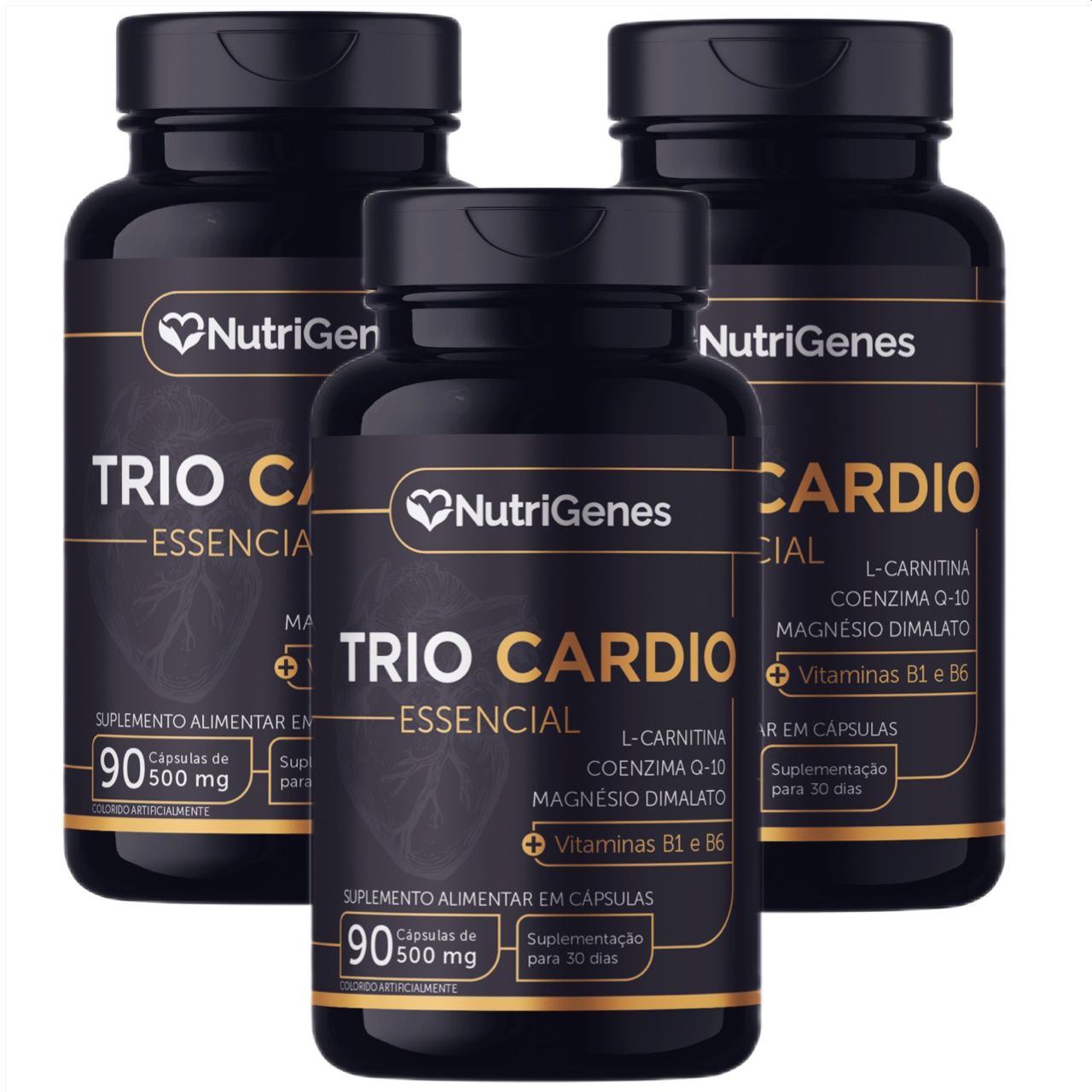 3x Trio Cardio  Magnésio  COQ10  L  Carnitina  Nutrigenes