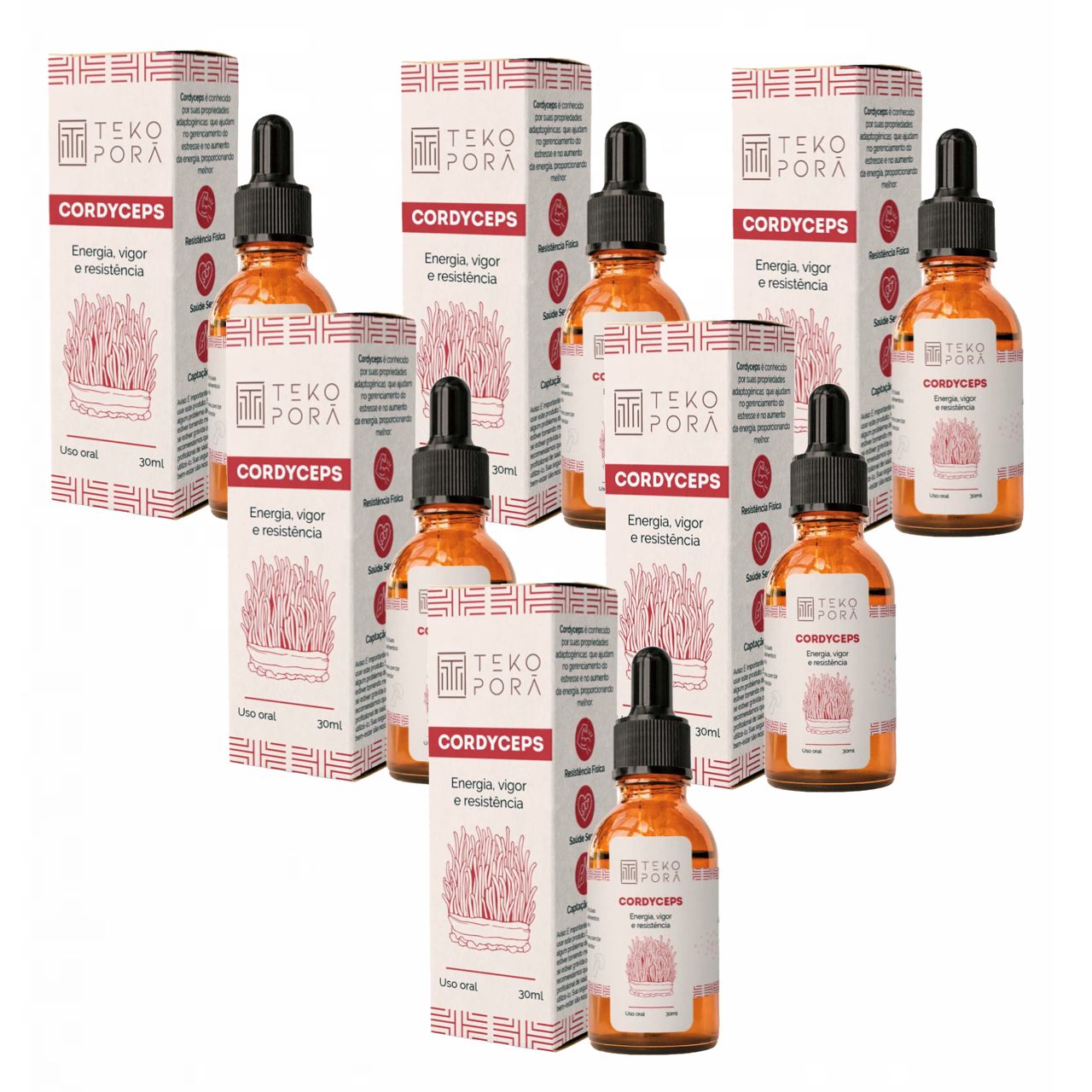 6x Extrato Cordyceps  Cordyceps Militaris  30ml  Teko Porã sem sabor