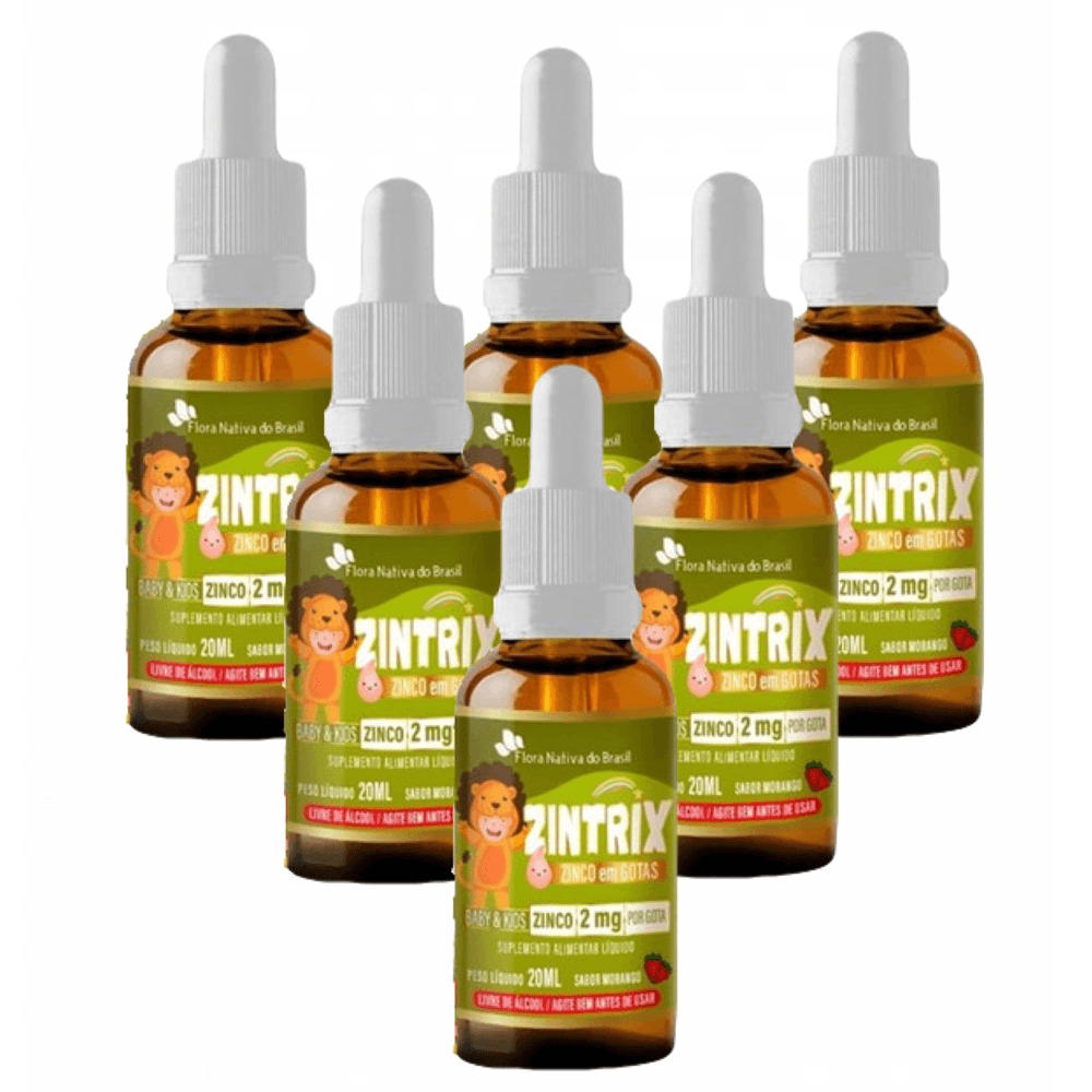 6x Zintrix Zinco Em Gotas Kids Flora Nativa Morango 20ml