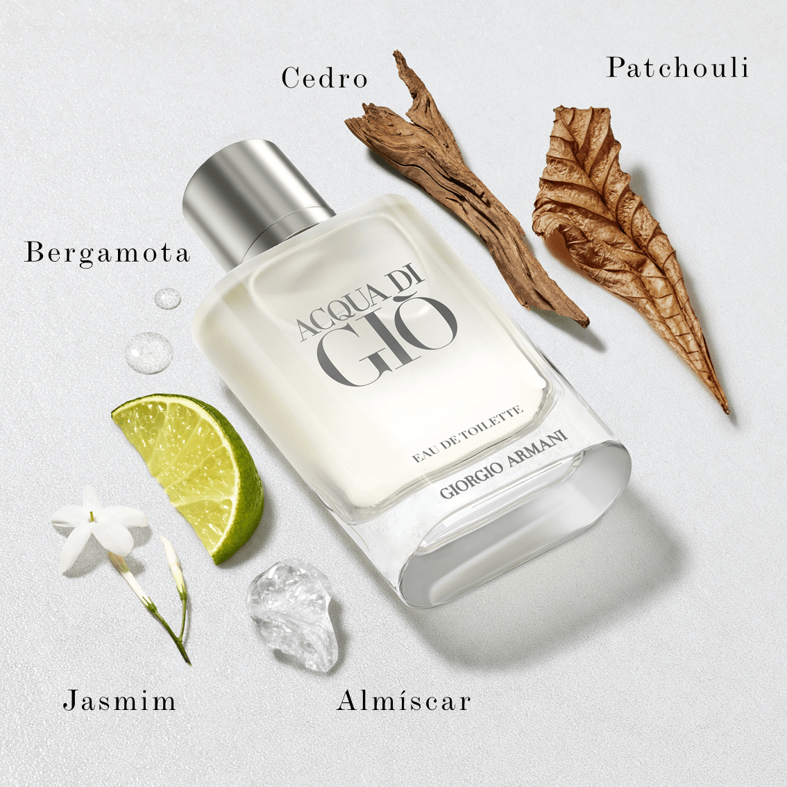 Giorgio Armani Acqua Di Gio EDT Perfume Masculino