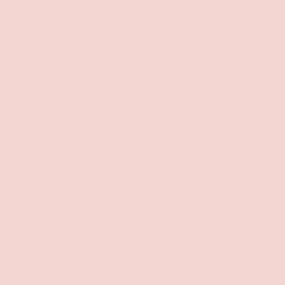 Stick Cover Corretivo Fran By Franciny Ehlke Rose 19g