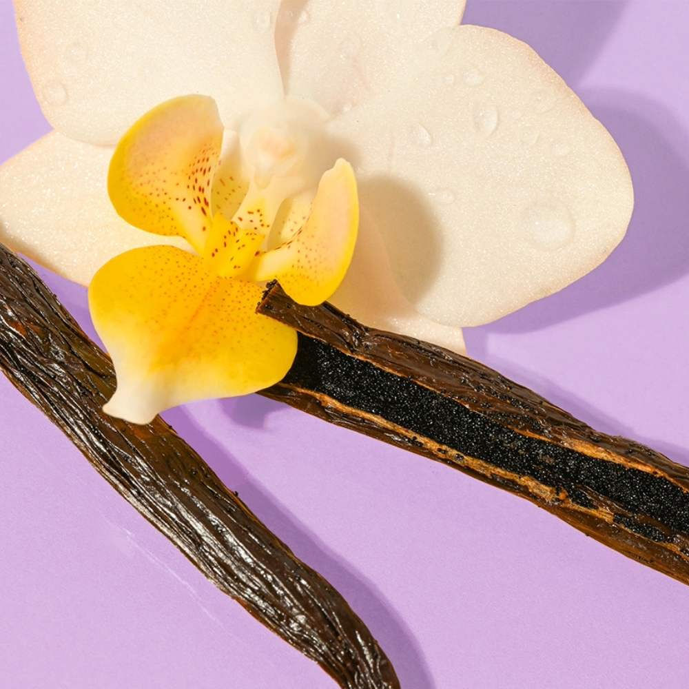 Lip Balm Organic Stick Vanilla Bean EOS