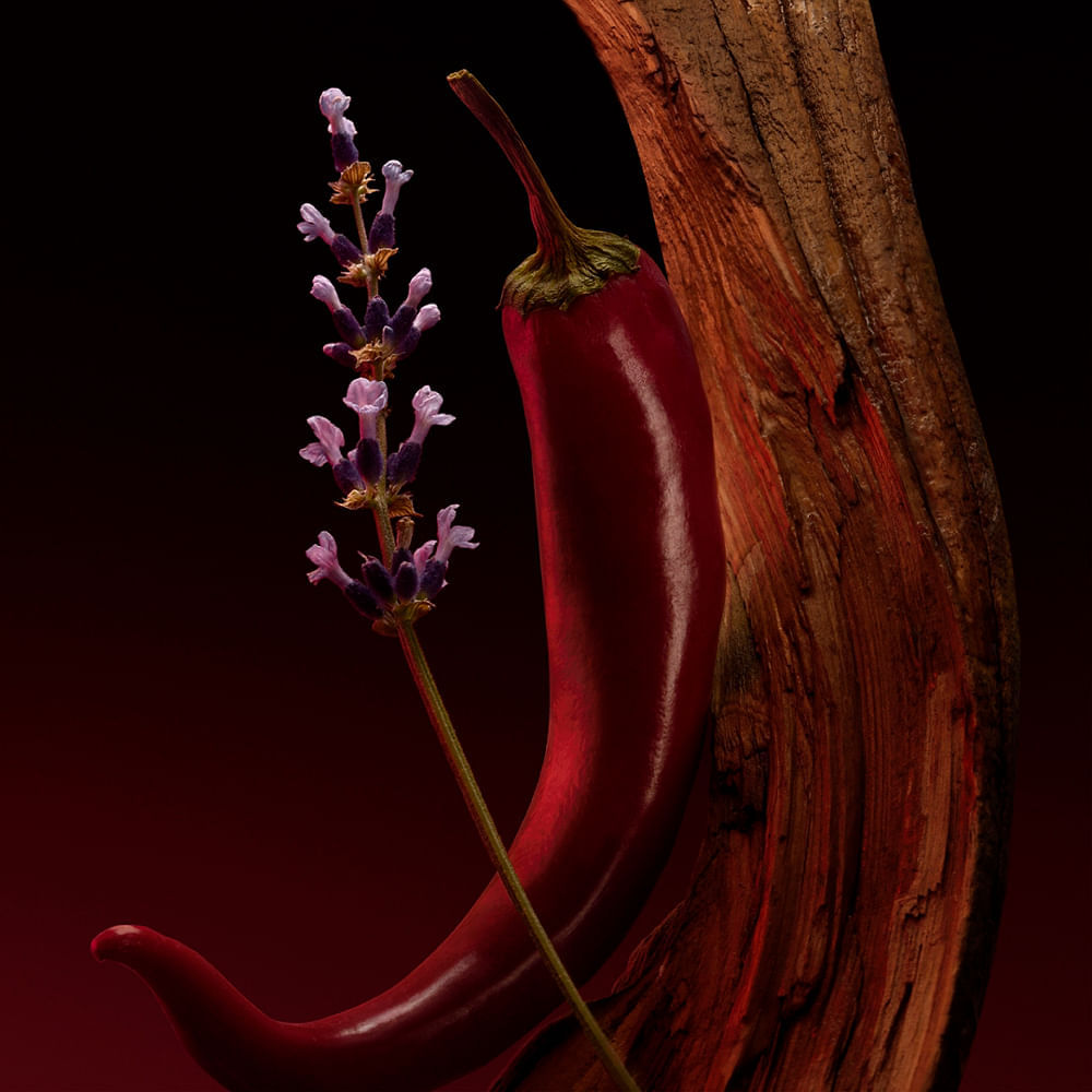 Perfume Hugo Boss The Scent Elixir Parfum Masculino 100 ml