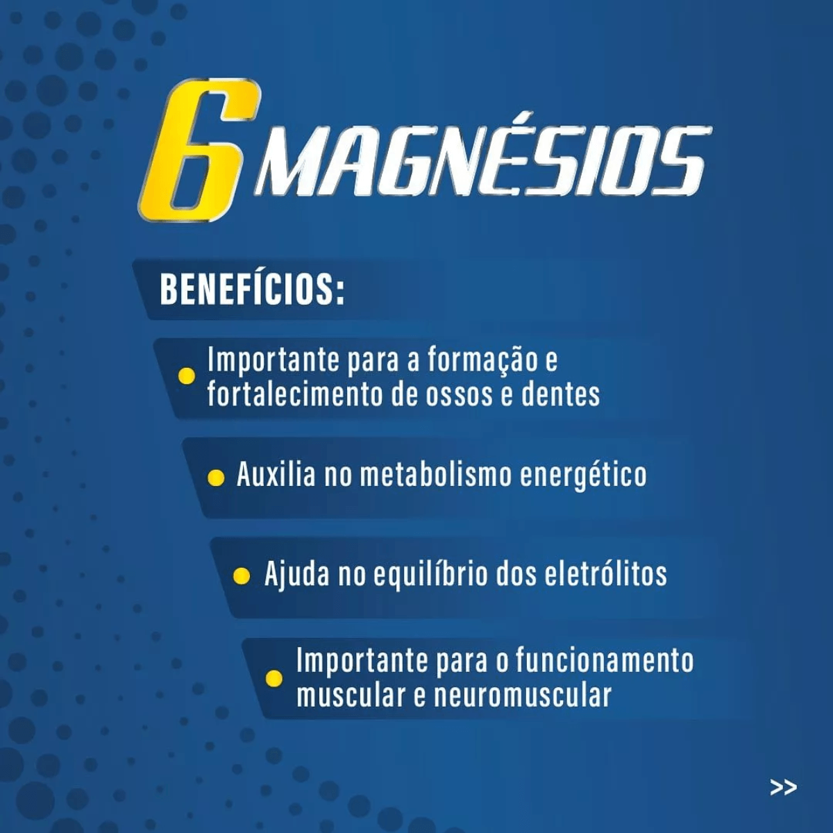 6 Magnésios Flora Nativa 60 cápsulas