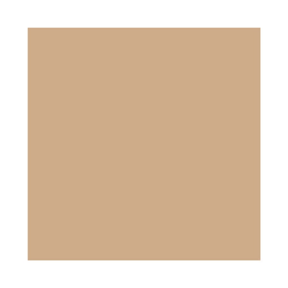Base Facial Shiseido Future Solution LX Total Radiance Foundation Neutral 1