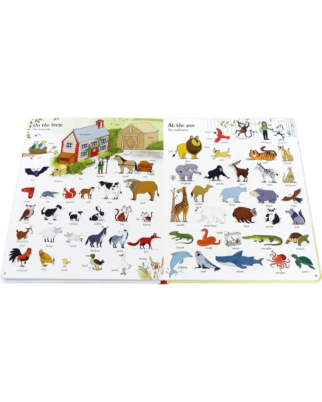 Primeiras Palavras  em Inglês Livro Infantil Editora Usborne