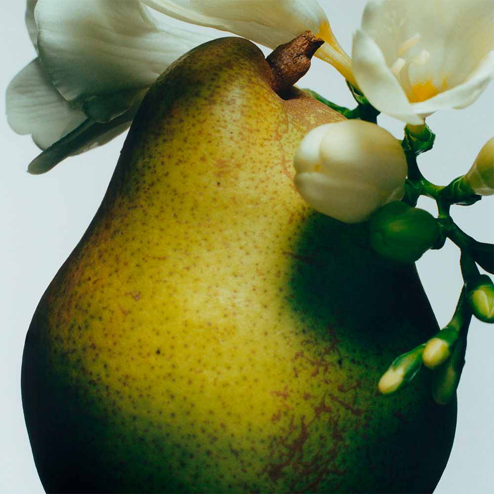Difusor English Pear & Freesia Jo Malone London