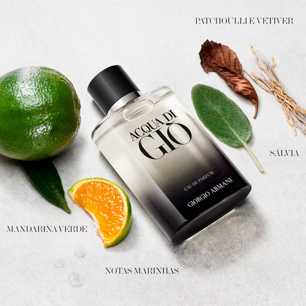 Perfume Masculino Acqua Di Gio Giorgio Armani Eau de Parfum 100ml