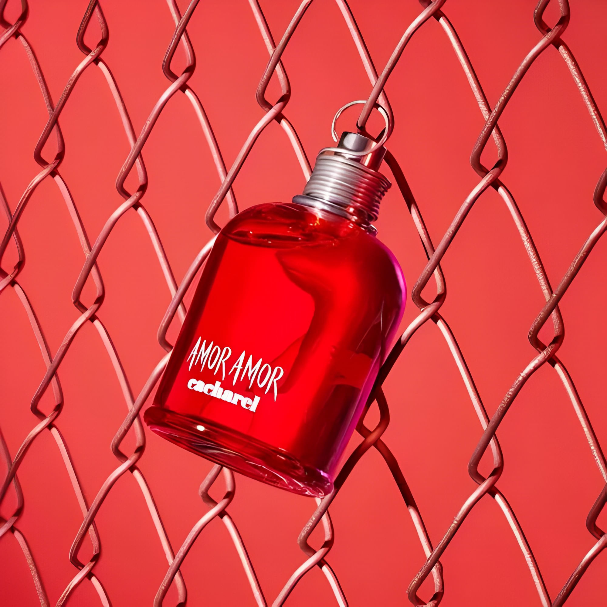 Perfume Feminino Amor Amor Cacharel Eau de Toilette 50ml