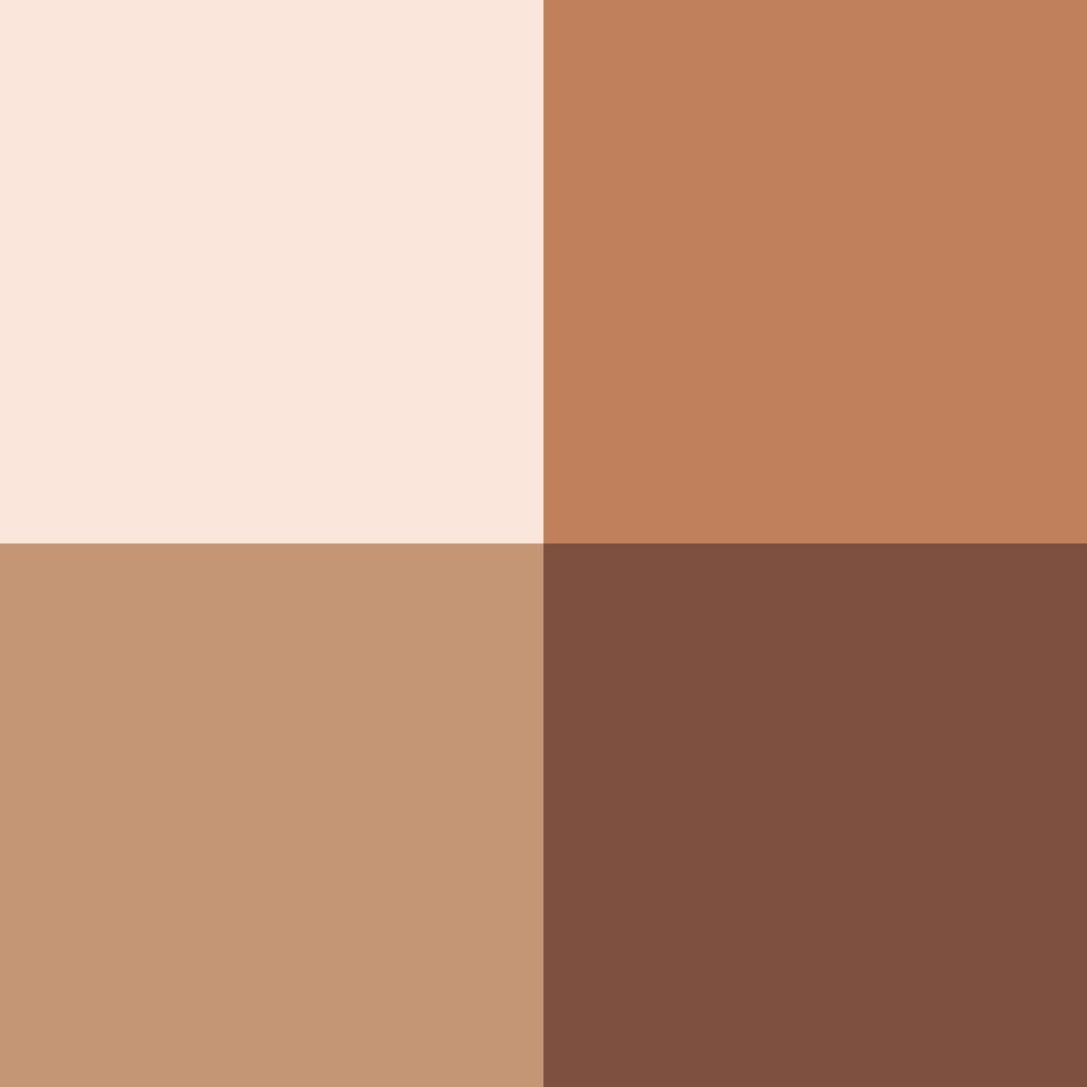 Paleta Multifuncional Karen Bachini Beauty Artemis 4 Shades 12g