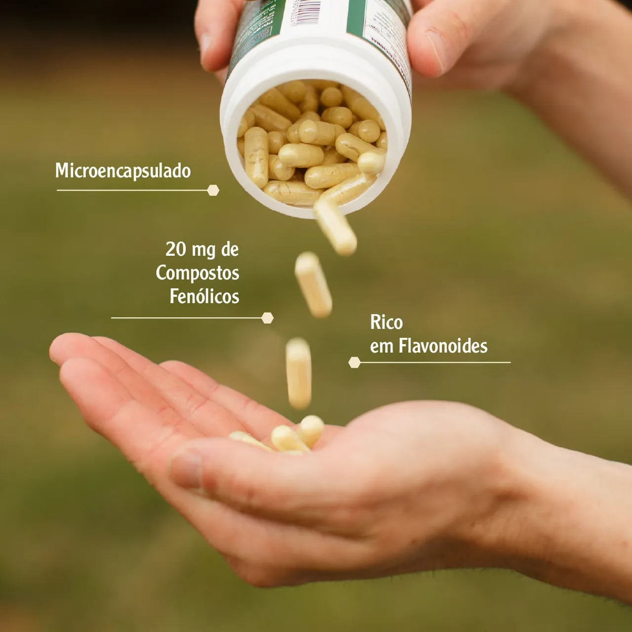 Própolis Verde Apisvida 500mg 120 Cápsulas