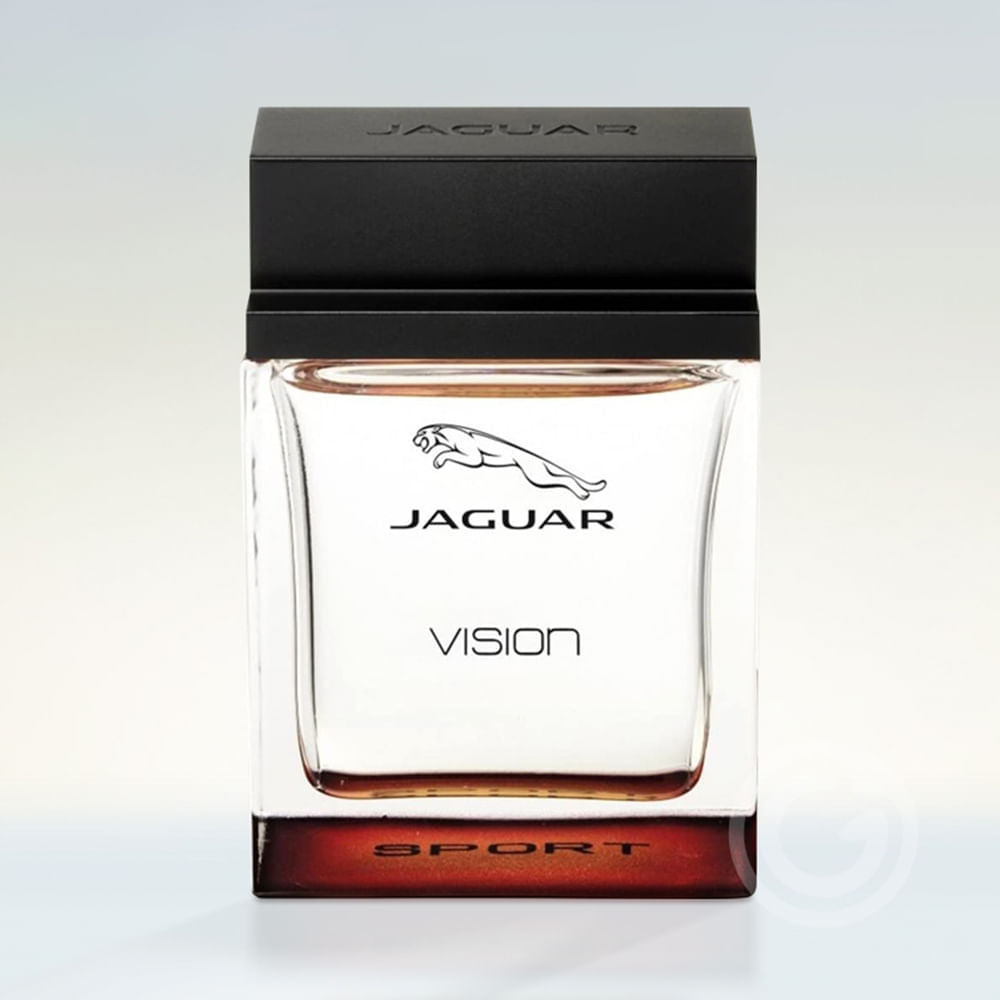 Perfume Masculino Vision Sport Jaguar Eau de Toilette 100ml