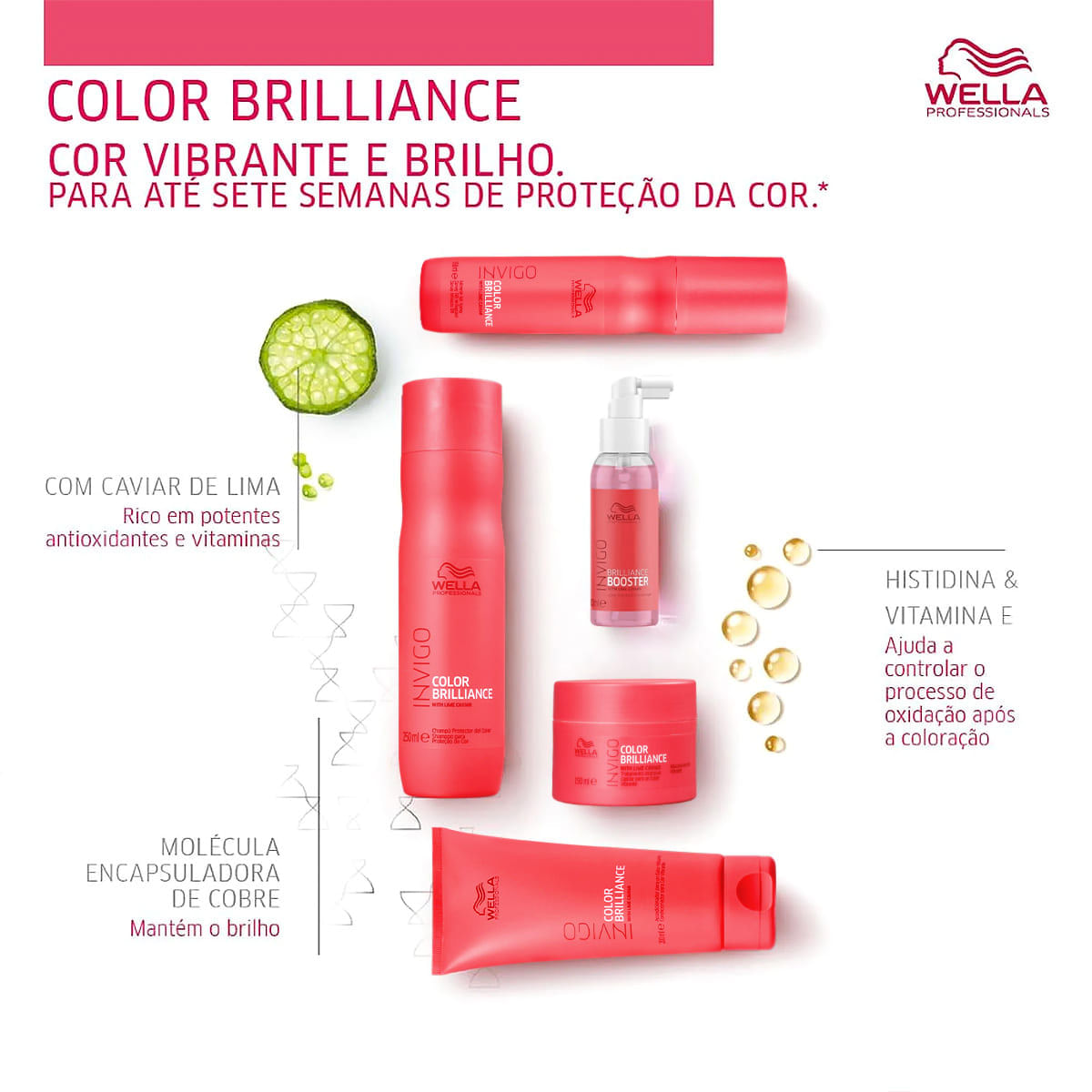 Kit Invigo Brilliance Miracle Wella Professionals Shampoo 250ml + Leave-in 150ml