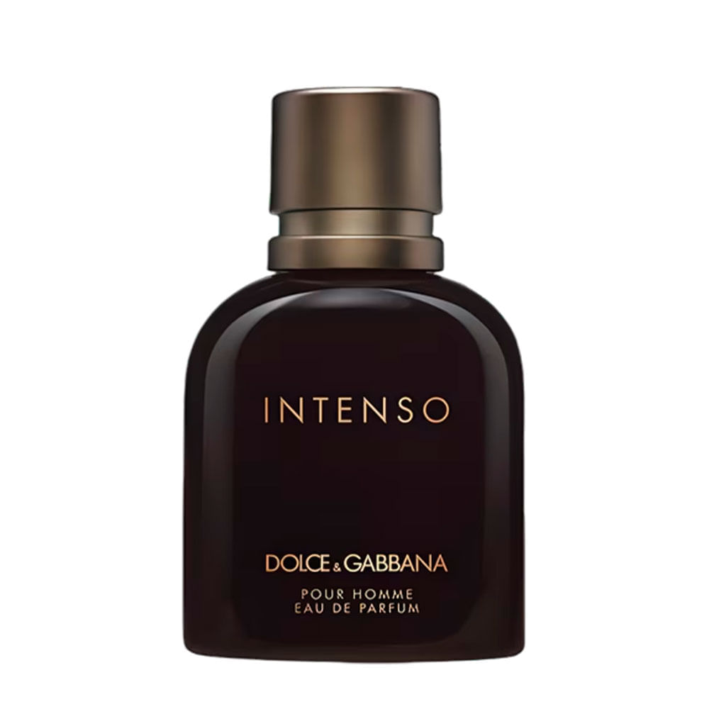 Perfume Masculino Pour Homme Intenso Dolce Gabbana Eau de Parfum 75ml