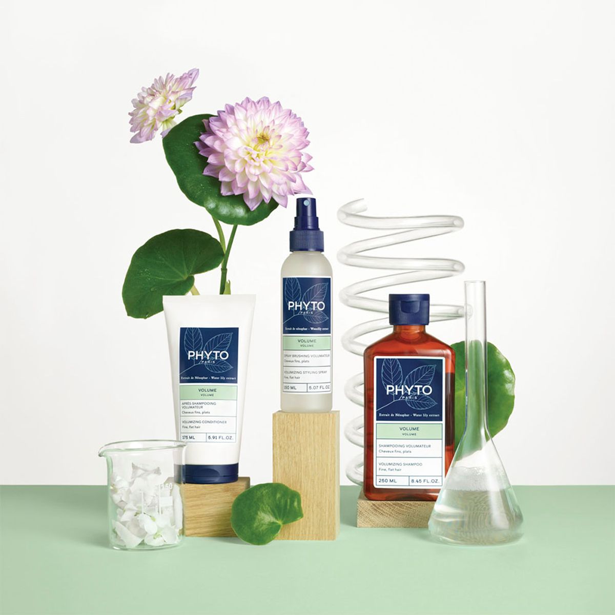 Shampoo de Volume Phyto Paris Volume 250ml