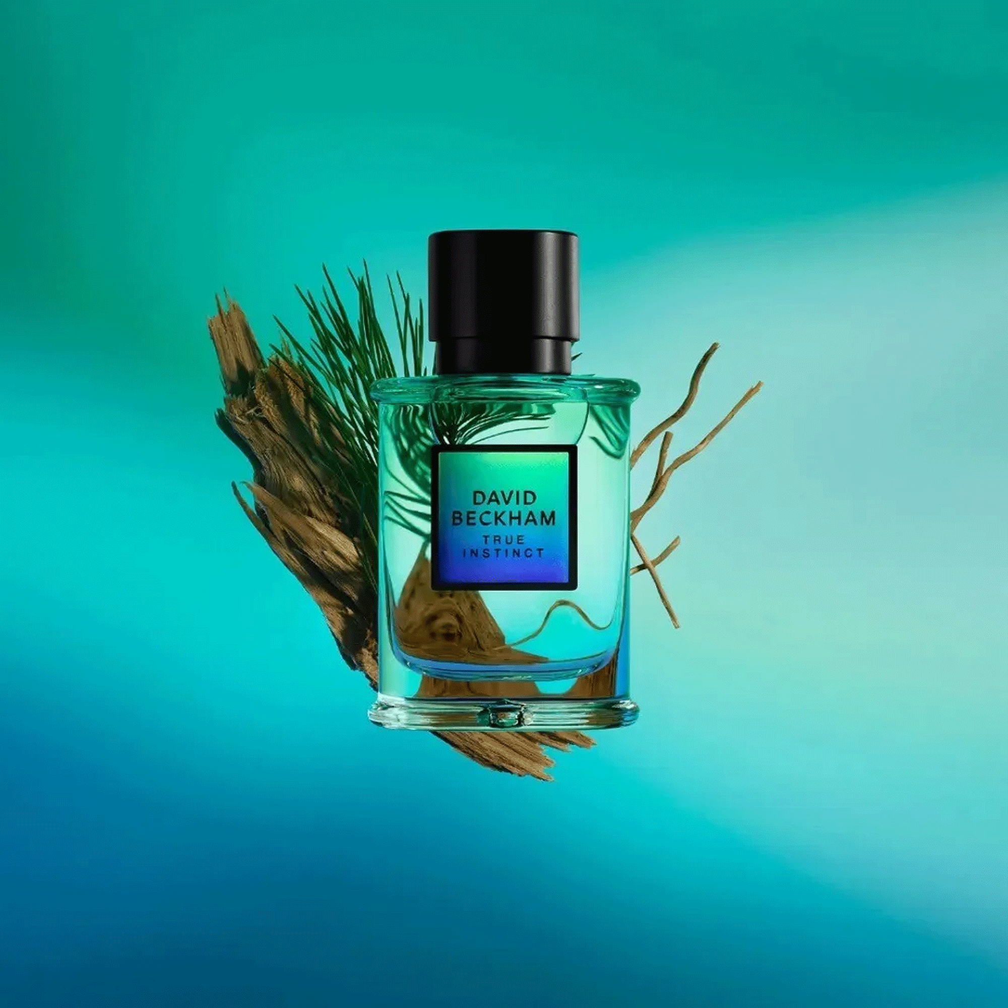 Perfume Masculino True Instinct David Beckham Eau de Parfum 75ml