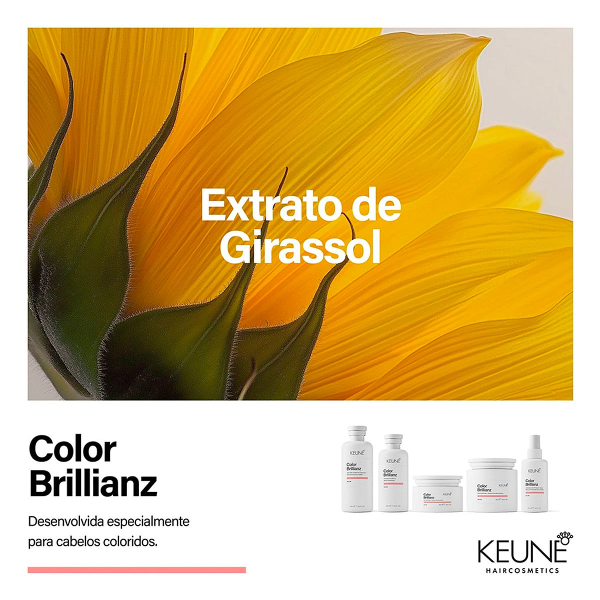 Kit Color Brillianz Keune Shampoo 1L + Máscara 500ml