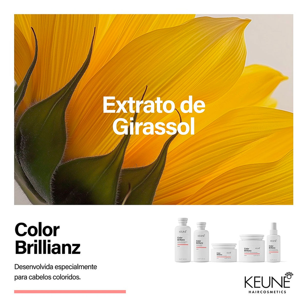 Kit Color Brillianz Keune Shampoo 1L + Condicionador 1L + Máscara 500ml