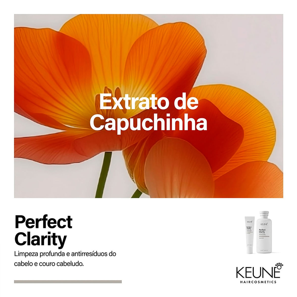Shampoo Perfect Clarity Keune 300ml