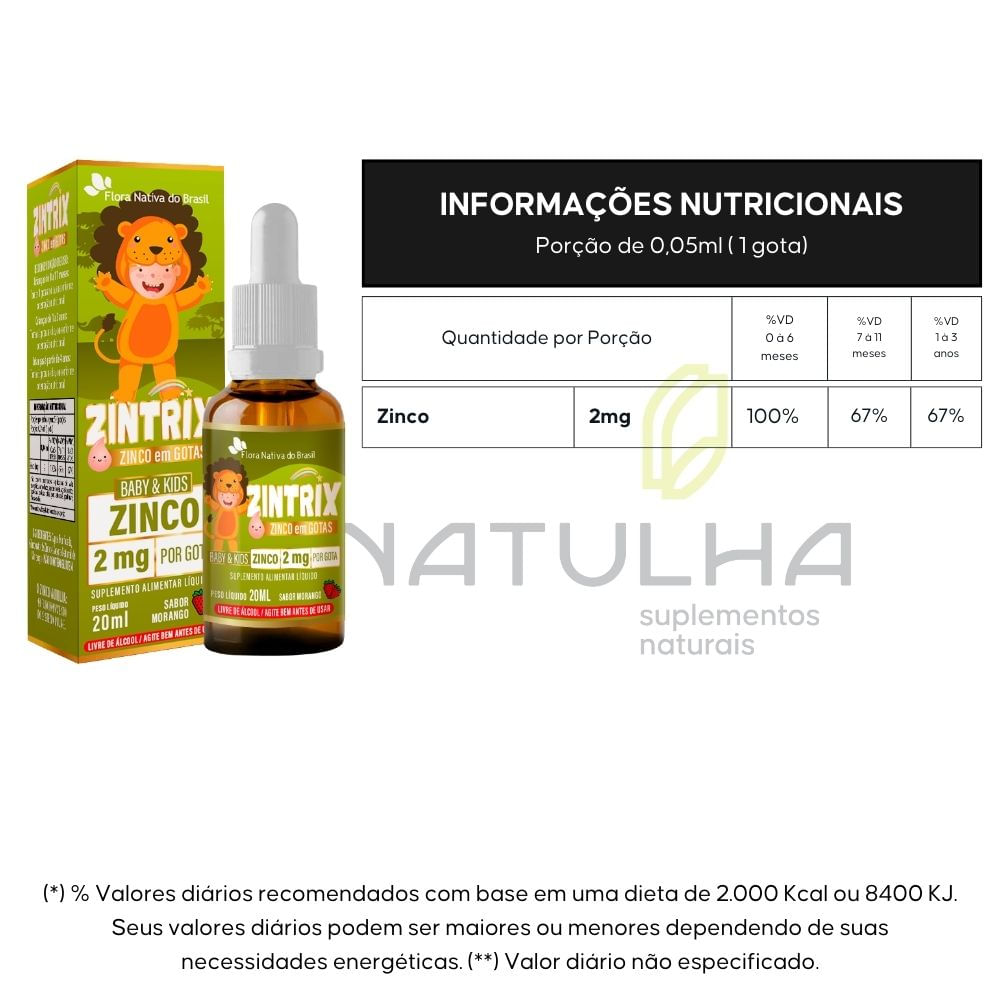 Kit 3 Zintrix Zinco Infantil Flora Nativa Sabor Morango 20ml