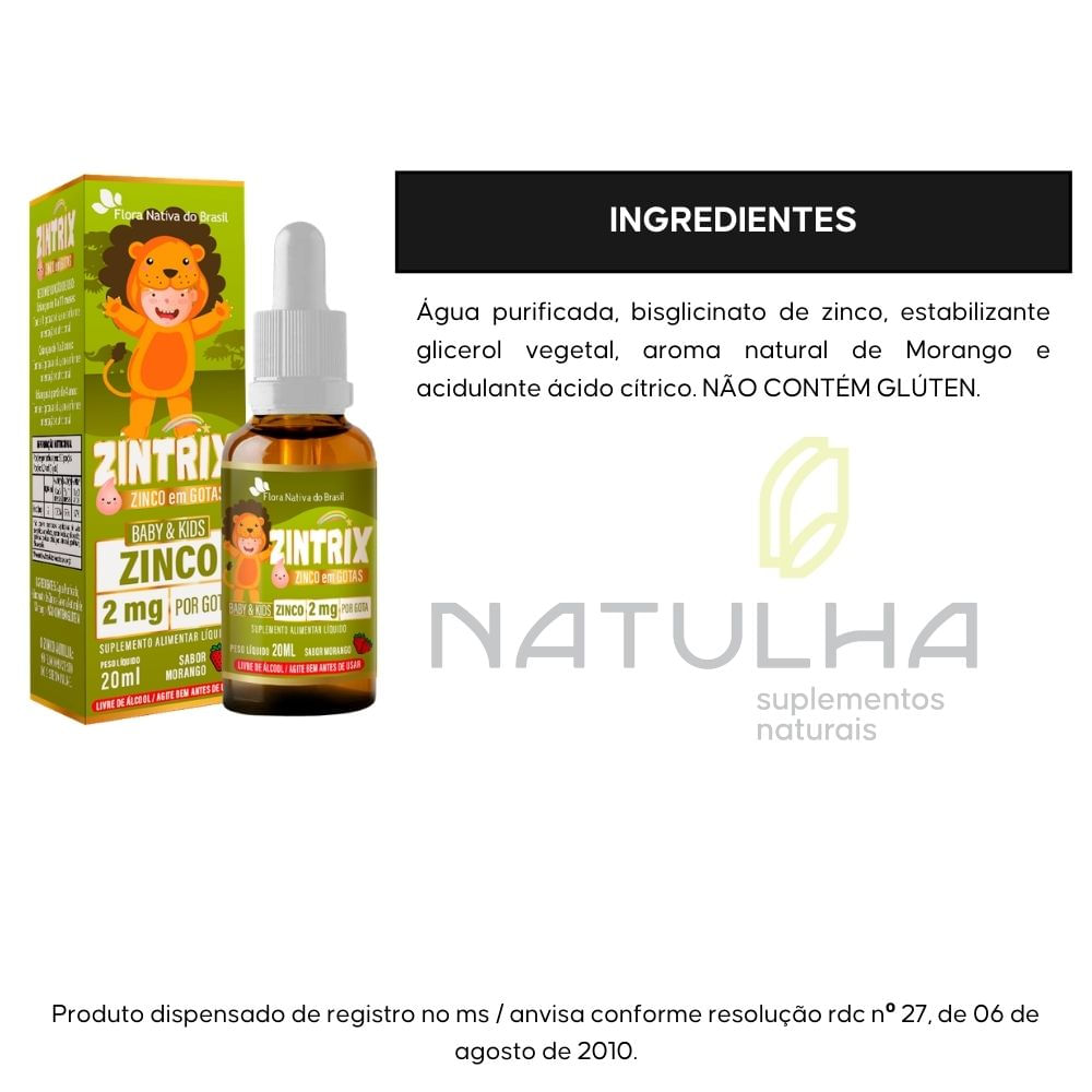 Kit 2 Zintrix Zinco Infantil Flora Nativa Sabor Morango 20ml