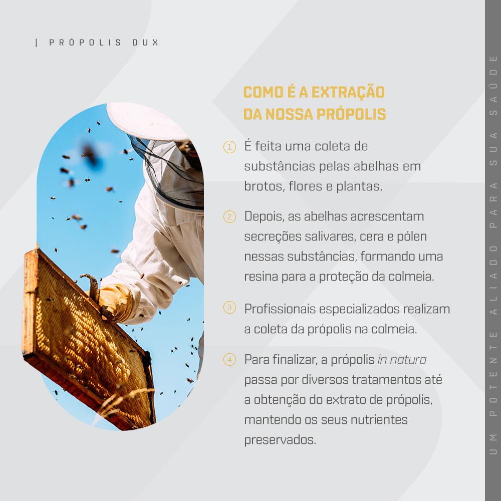 Própolis Verde DUX Company 30 Cápsulas