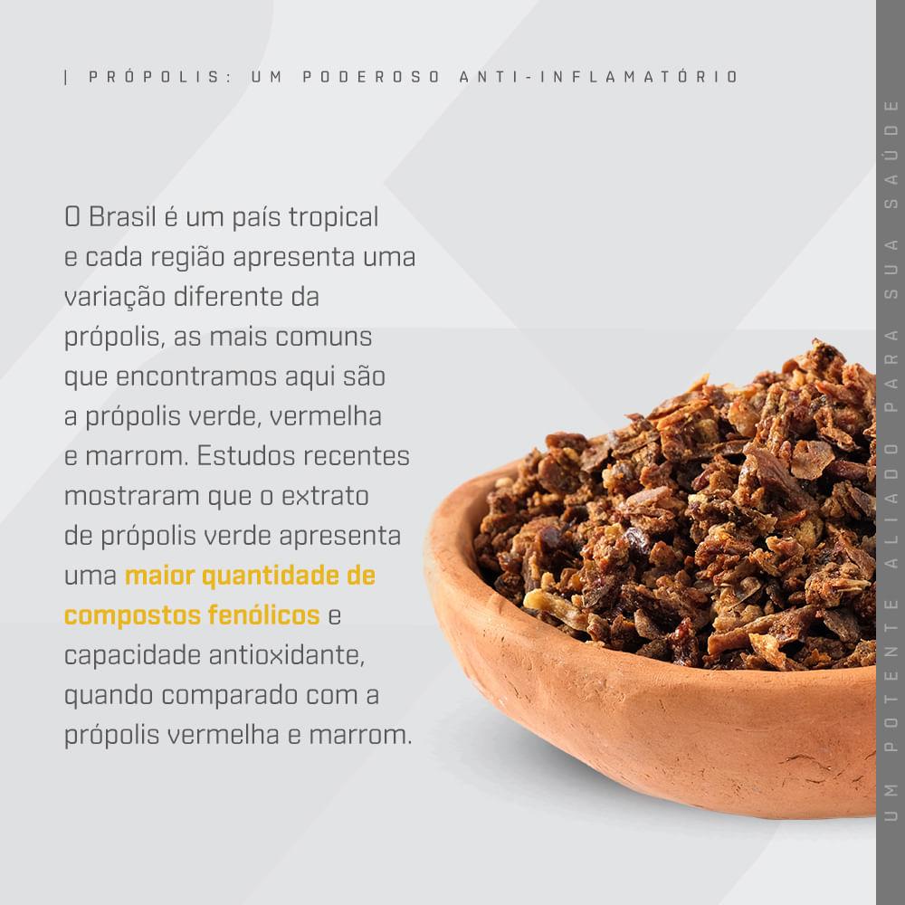 Própolis Verde DUX Company 30 Cápsulas