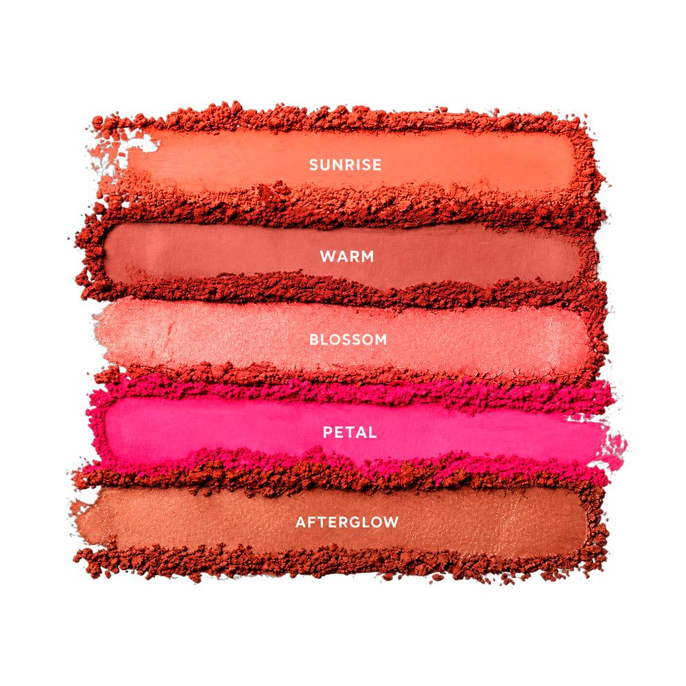 Paleta de Blush Multifuncional Face The Day Mascavo 17g